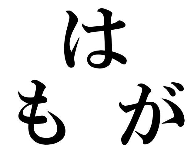 Japanese Grammar Exercise: Particles 「は」「も」「が」