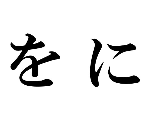 Particles with Verbs: 「を (Direct Object)」「に (Target)」